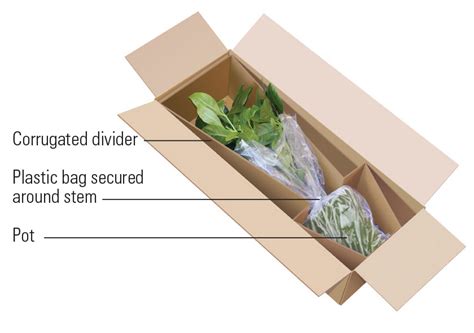 best way to ship live plants